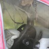 IMG_9254 (Medium)