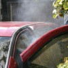 IMG_9258 (Medium)