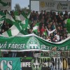 IMG_9544 (Medium)